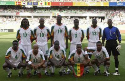 les lions de 2002